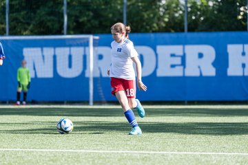 Bild 169 - wCJ Hamburger SV - VfL Pinneberg : Ergebnis: 9:0